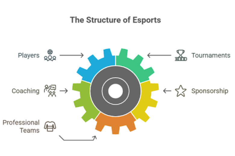 Diagram showing the structure of esports with players, coaching, professional teams, tournaments and sponsorship.