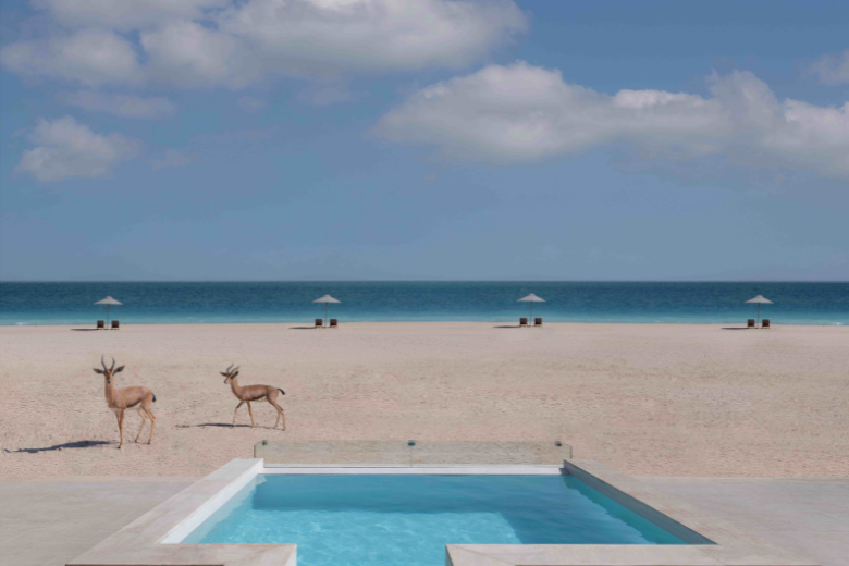 Beachfront pool villa at Al Yamm on Anantara Sir Bani Yas Island with gazelles walking along the shore
