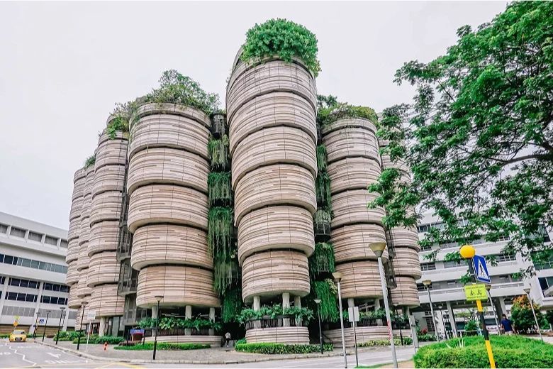 Explore your Singapore study options with Unihawk