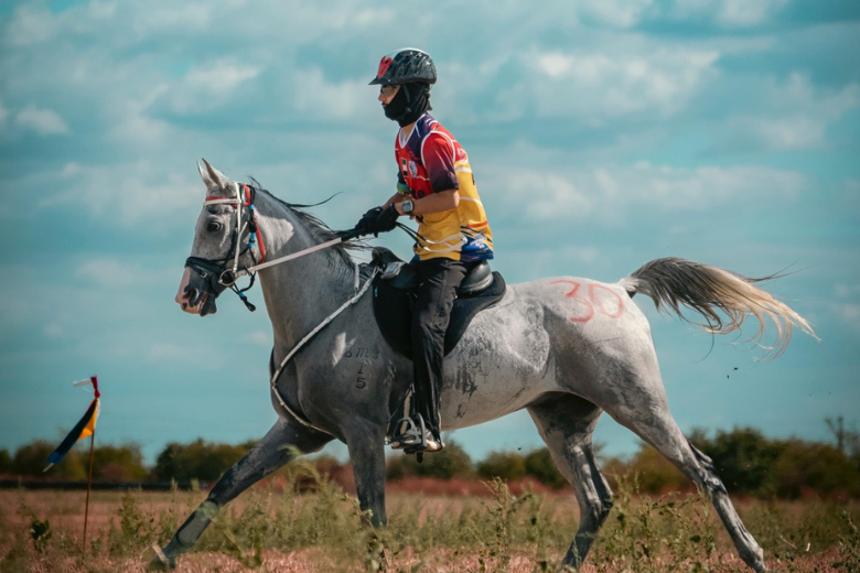 Canadian University Dubai student Rashed Mohammed Atiq Almehairi competes in the 126 km FEI Endurance World Championship race in Romania