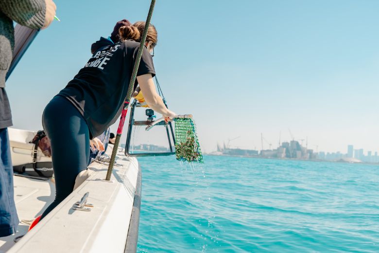 The university has expanded sustainability awareness through student-led initiatives