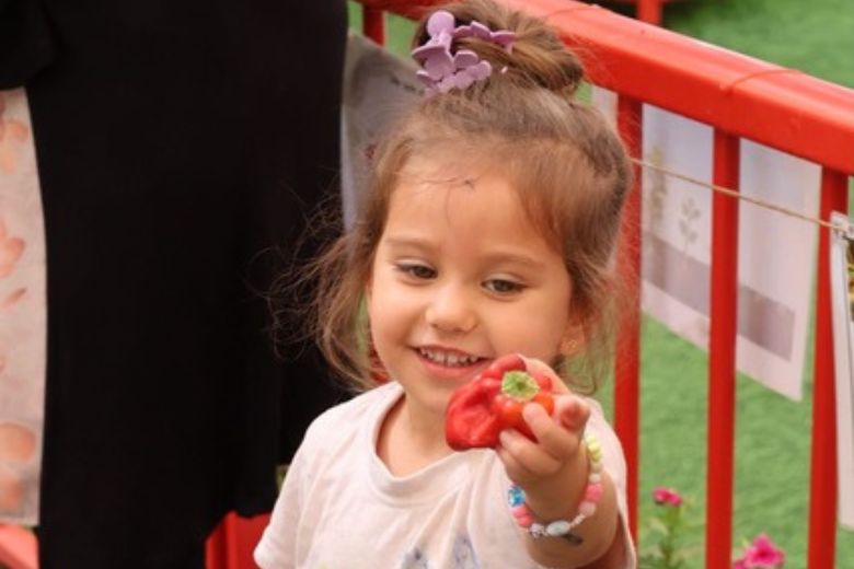 Montessori education to help children build confidence, independence, and emotional security 