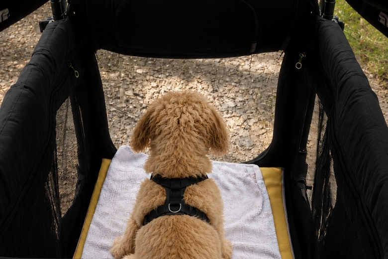 The pet-friendly entrance adds flexibility for families who enjoy outings with their pets